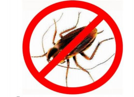 Дезинфекция Уничтожения тараканов клопов и других вредителей насекомых