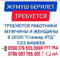 Зарплата в бишкеке. СЭЗ Бишкек. Вакансии в Бишкеке. ОСОО. ОСОО Киргизия.